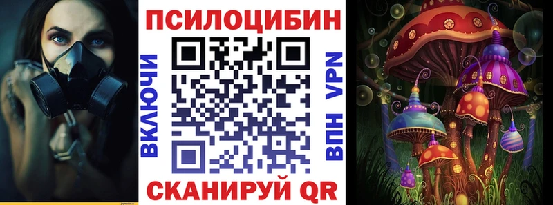 Псилоцибиновые грибы GOLDEN TEACHER  Горячеводский 