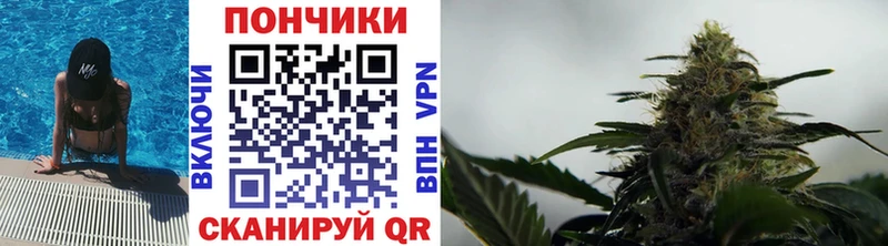 Каннабис конопля  Горячеводский 
